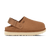 UGG Goldenstar Clog Chestnut (W)