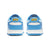 Nike Dunk Low Coast (W)